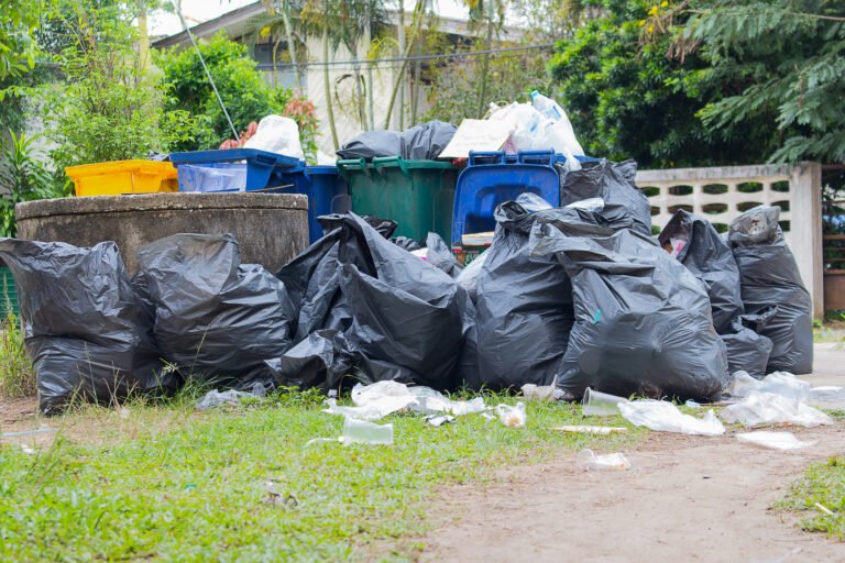 Junk Removal of trash in yard